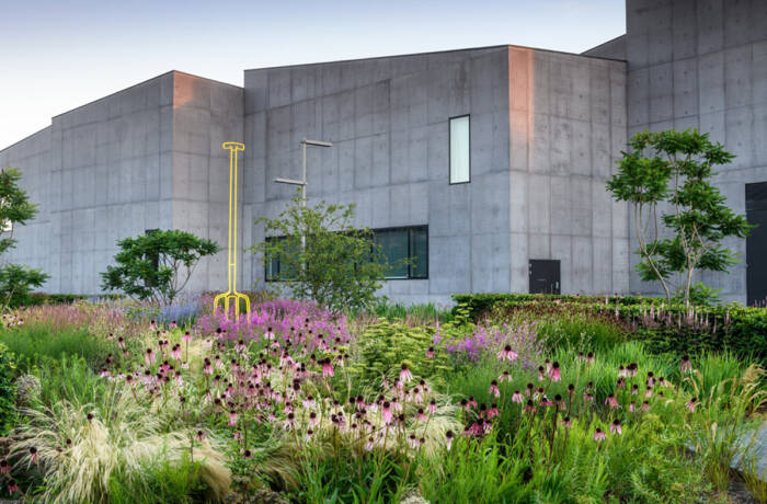 A concrete building with plants and purple flowers outside it