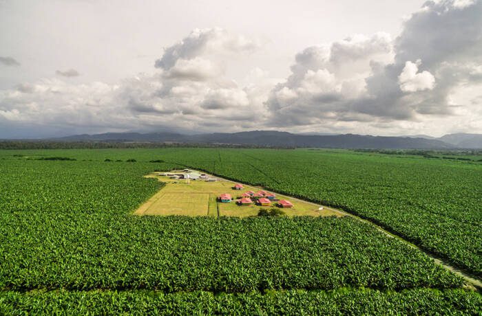 Huge green field with a cluster of small houses in the middle