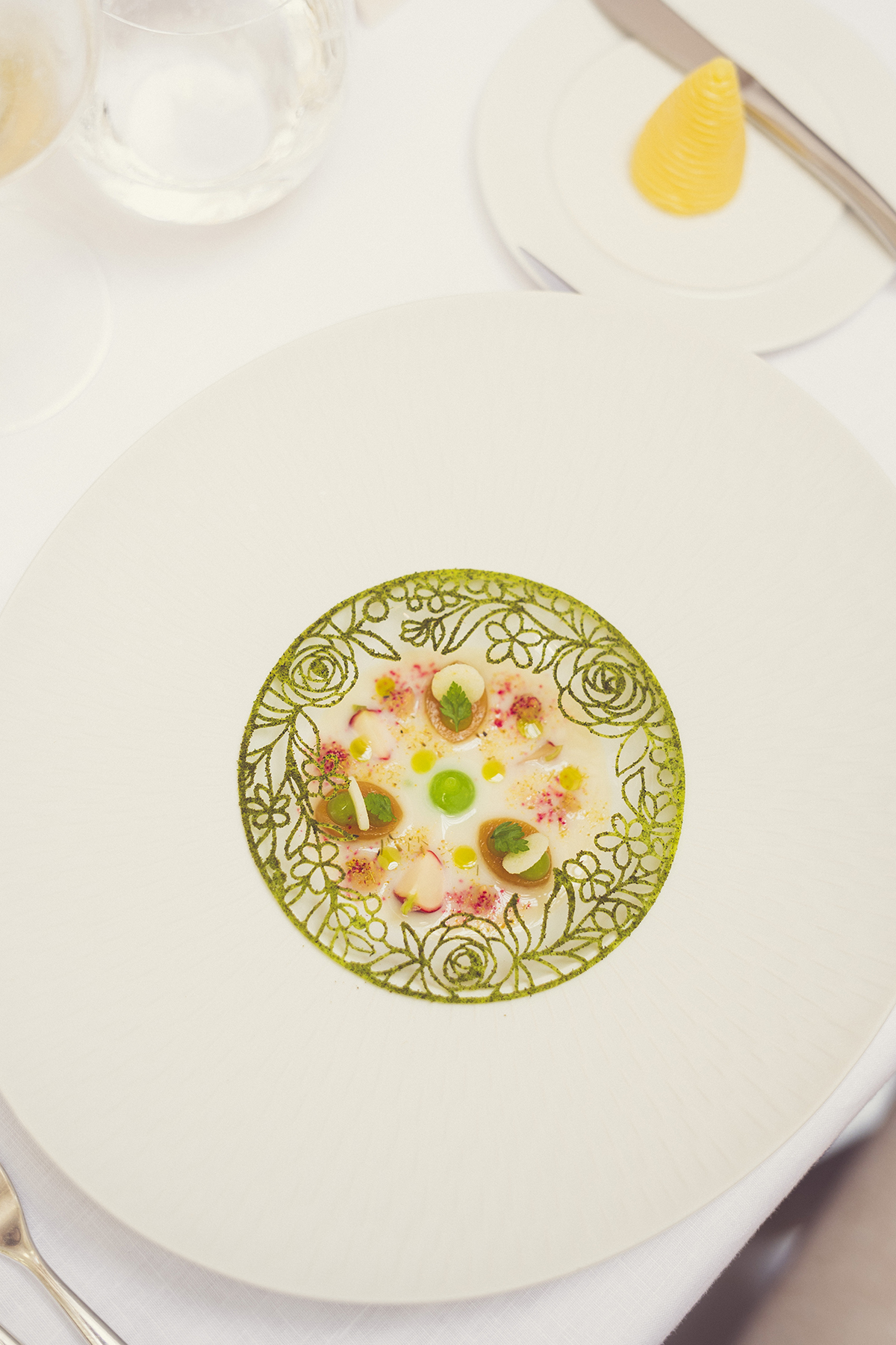 A dish with green lace herb detailing framing a plate of beetroots in a white source with herbs and edible flowers