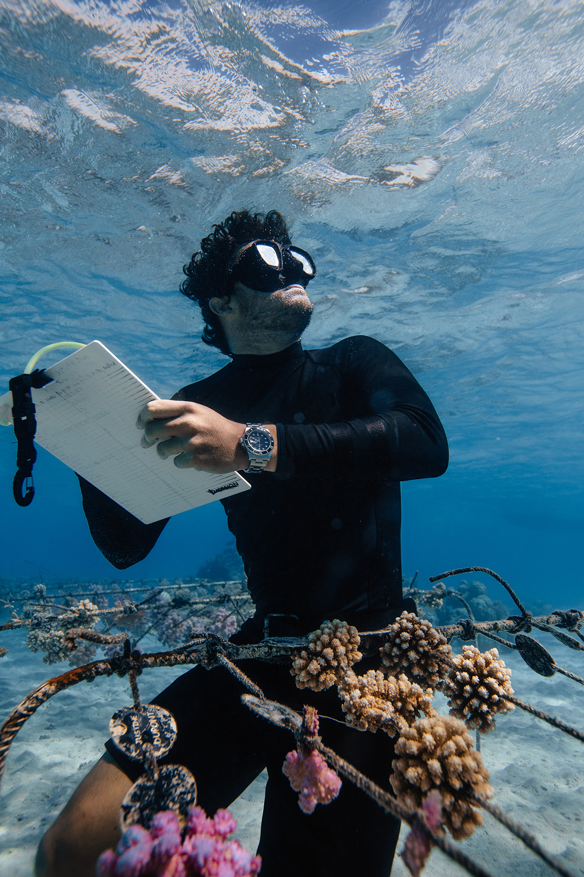 A man underwater wearing scuba diving equipment and a wetsuit, taking notes