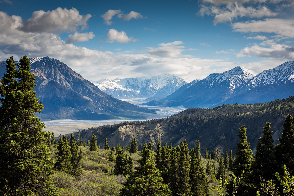 Sunny mountain scene