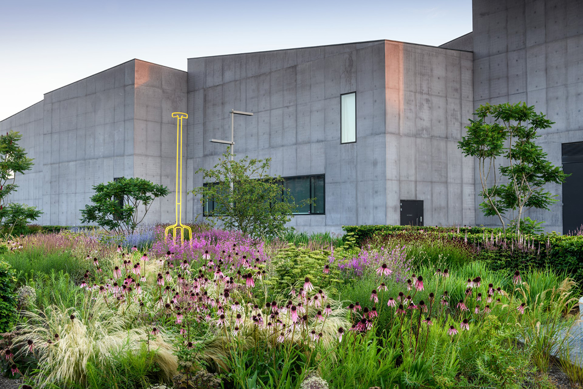 A concrete building with plants and purple flowers outside it