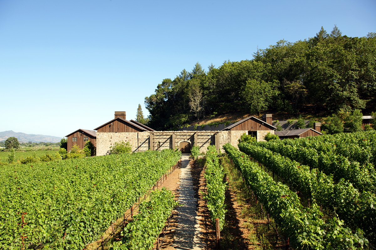 a vineyard with a house at the back