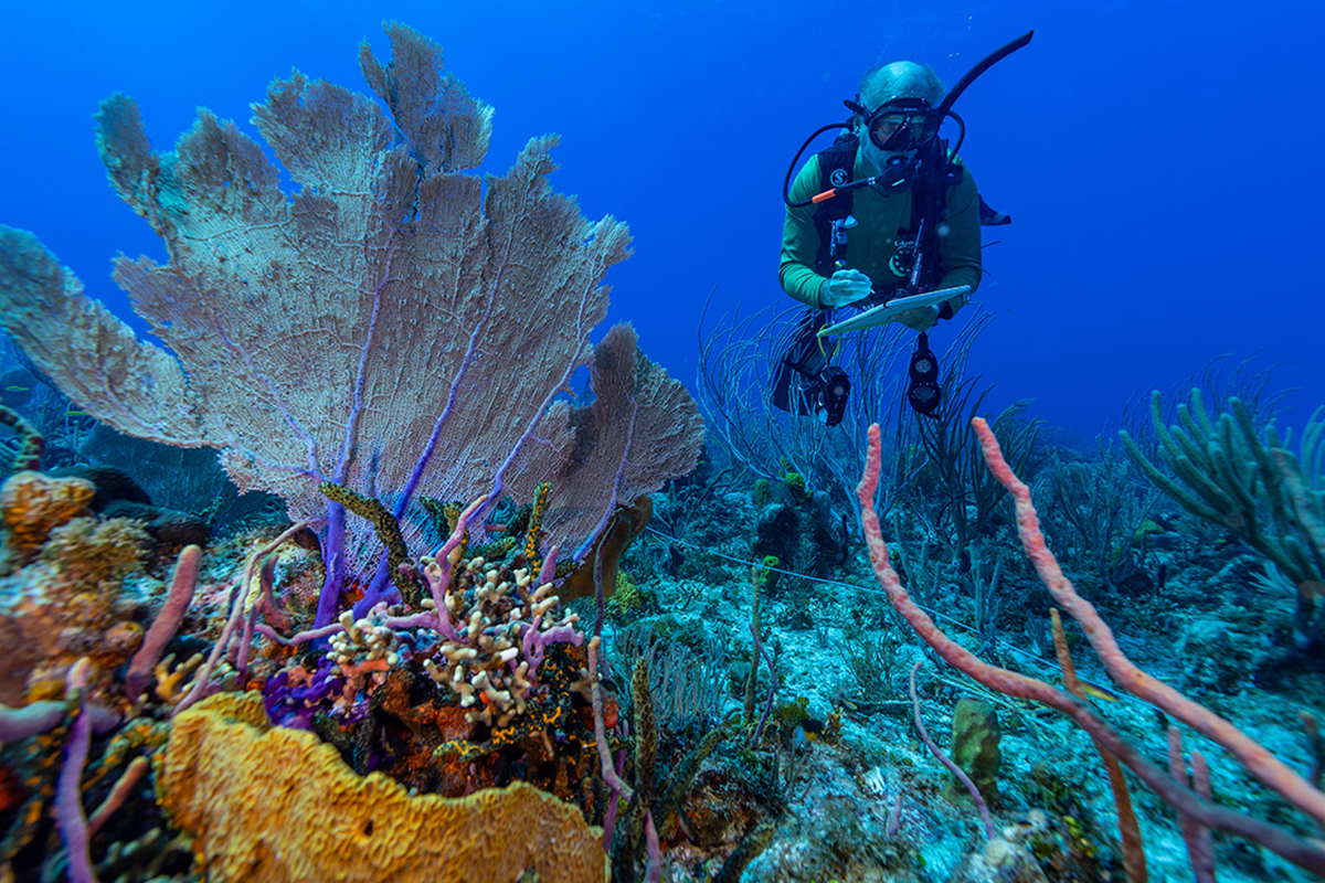 Enric Sala on working to protect vital areas of the ocean