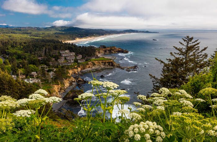 A cliff overlooking the sea