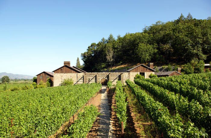 a vineyard with a house at the back