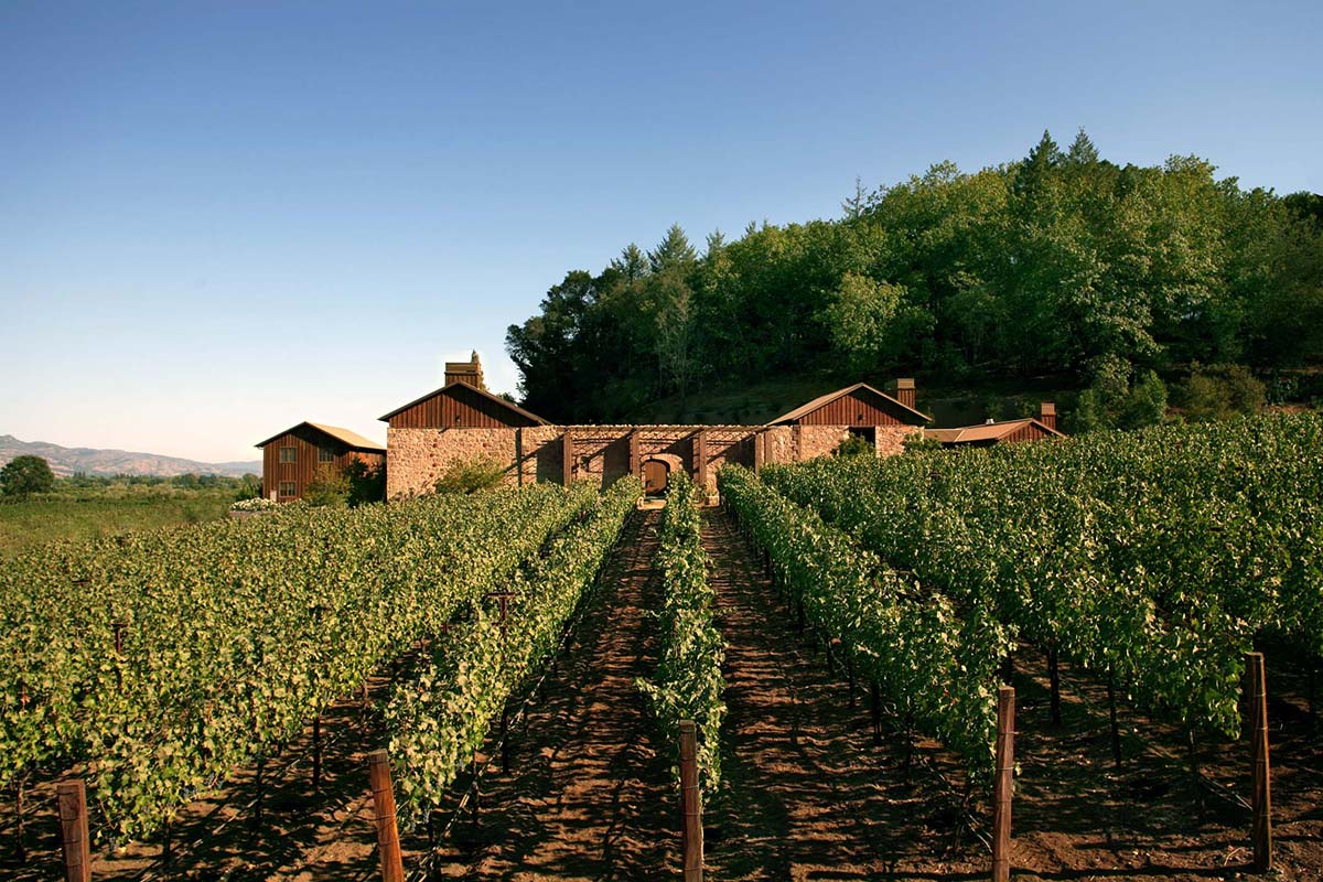 green vineyards and an orange house at the end surrounded by trees