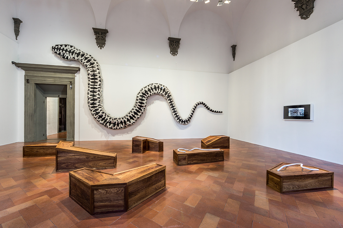 A room with wooden floors and benches and a metal snake hanging on the wall