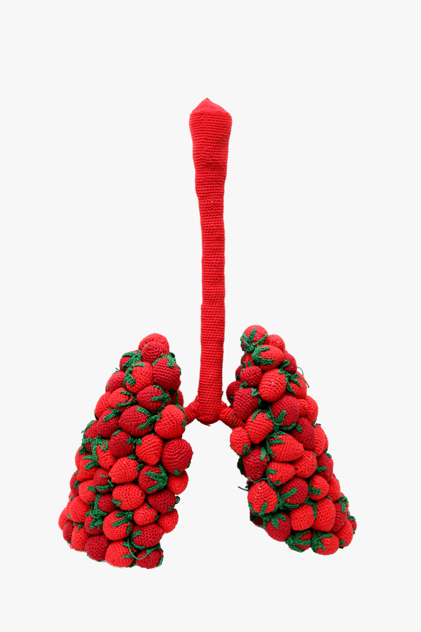 A lung of fruit