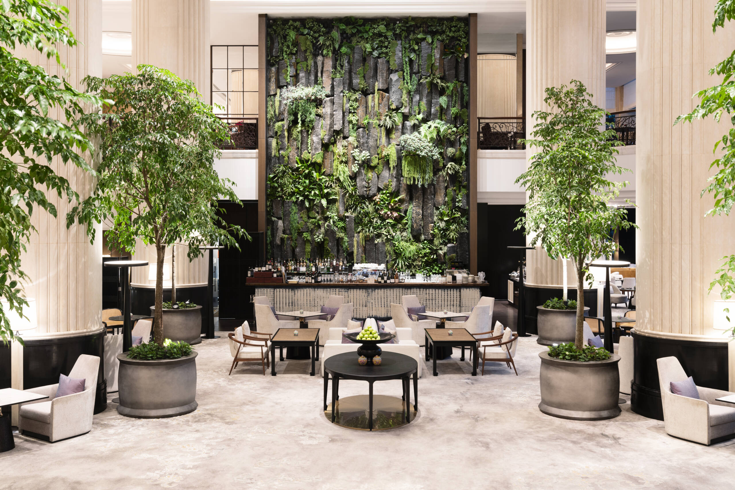 hotel lobby with lots of plants