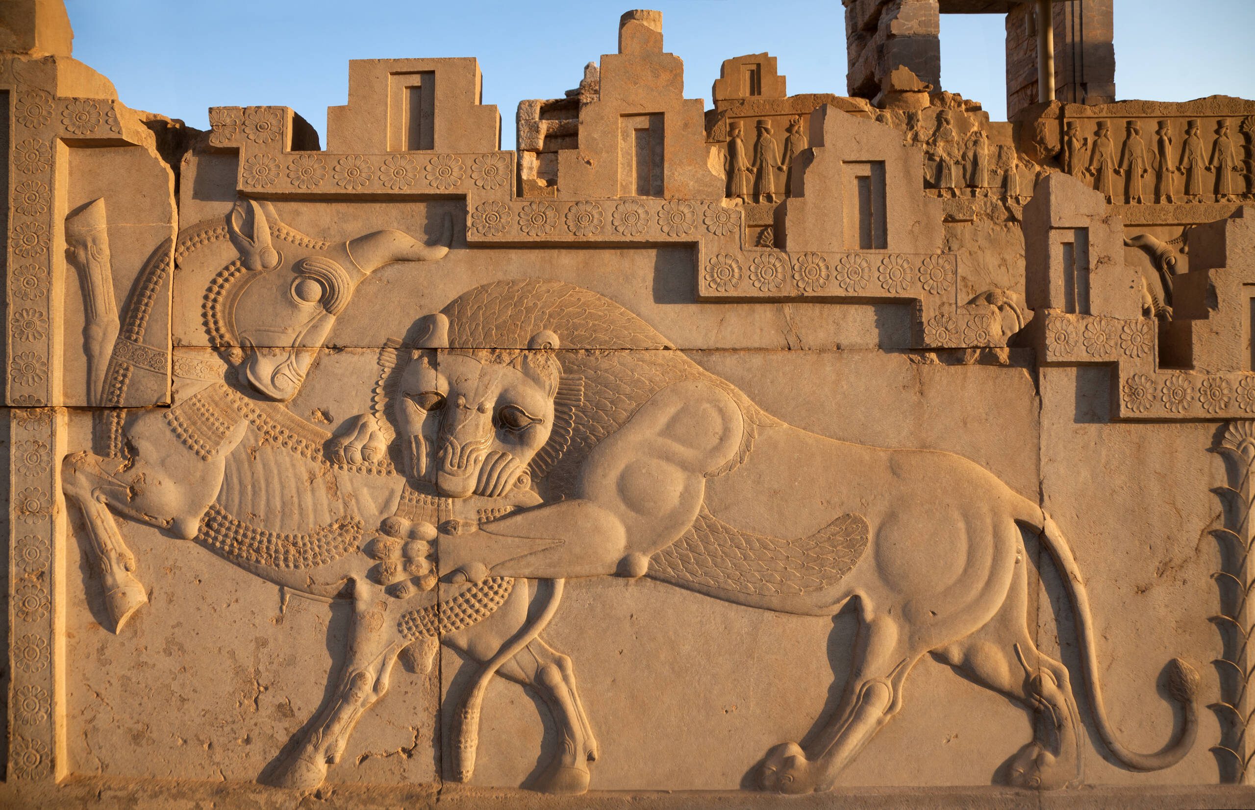 Interesting animal Illustration engraved in a stone wall