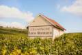 Protected: How biodiversity sustains the world’s finest wines