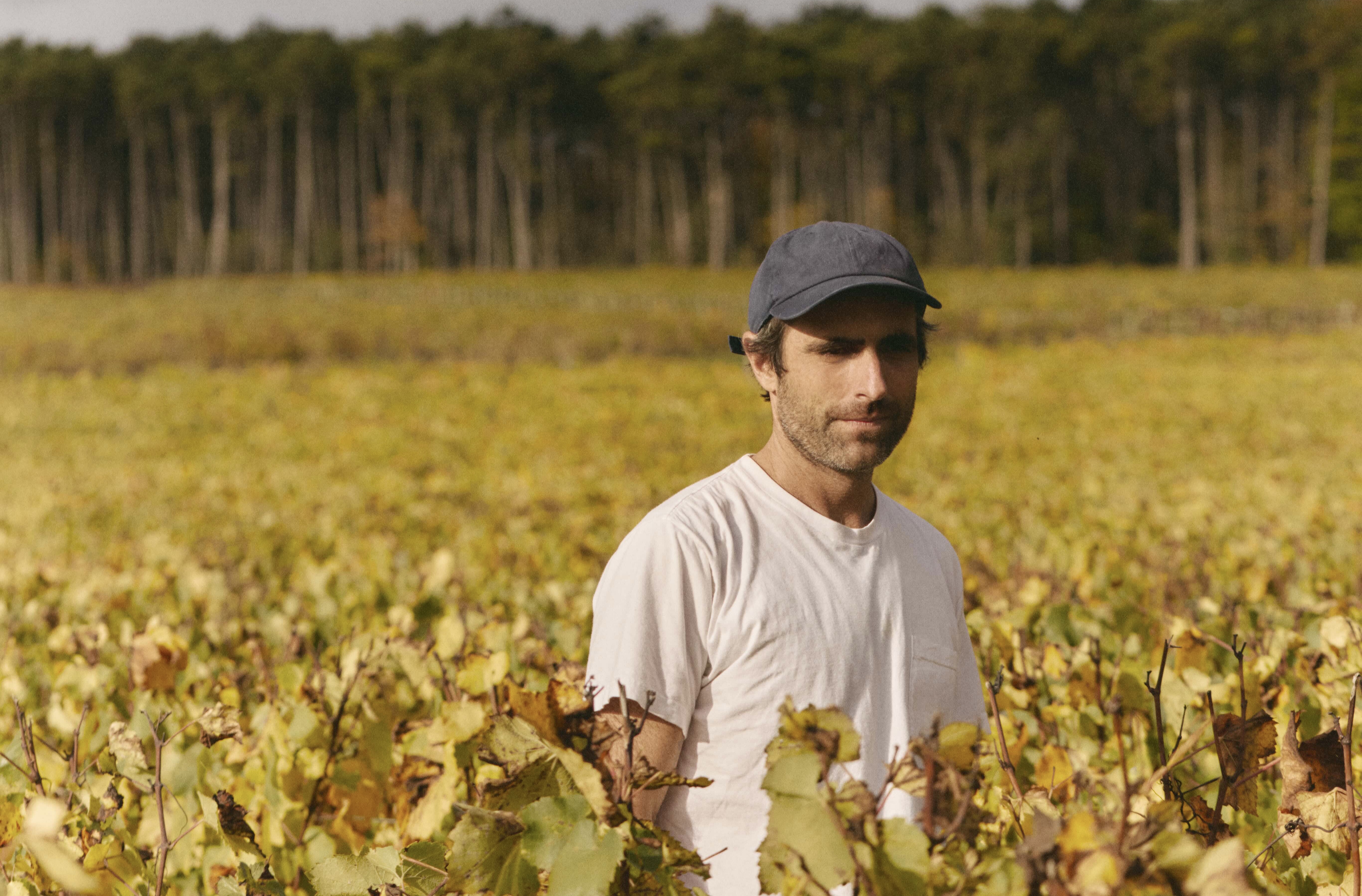 Protected: Sam Falls on art and the natural world